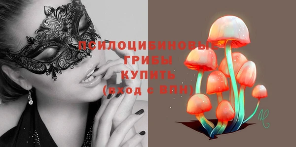 спиды Ельня