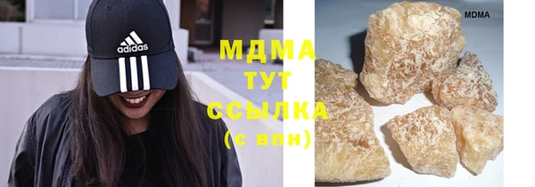 спиды Ельня