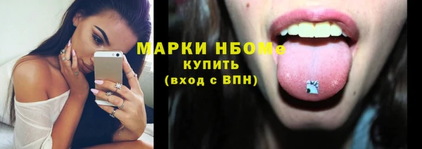 спиды Ельня