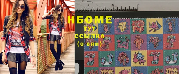 спиды Ельня
