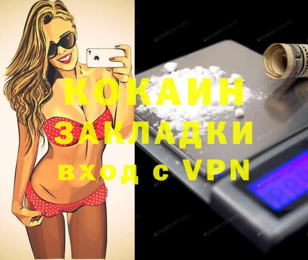 спиды Ельня