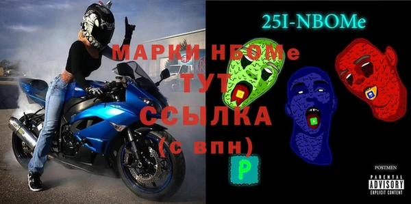 спиды Ельня