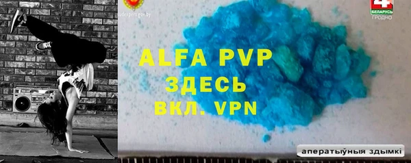 спиды Ельня