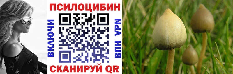 Галлюциногенные грибы Psilocybine cubensis  Купить  Кадников 